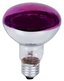 Lampe couleur - 60W - R80 - E27 - Violet, cliquez pour agrandir 