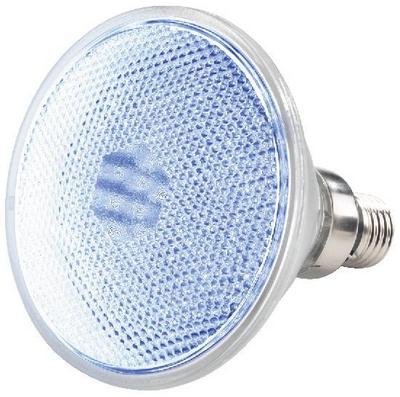 Lampe  LEDS PAR38, cliquez pour agrandir 