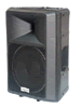 BST - WP-260 - Enceinte Monitor 2 Voies 250W RMS boomer 10’’ / tweeter 1.4’
