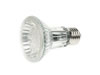 Lampe LED Par20 - 24 LEDs - Blanc Froid - 6400k
